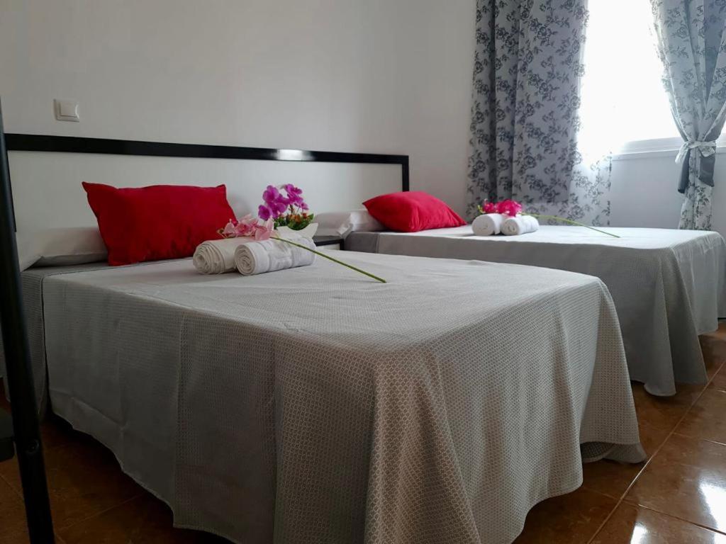 Franmay Apartments - 7 Modern Apartments Near The Beach & City, Perfect For Nomads, Travellers, Families, Watersports! 圣玛丽亚 外观 照片
