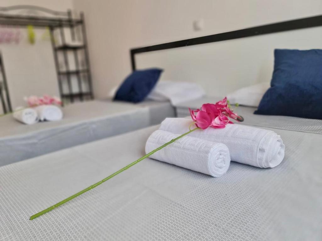 Franmay Apartments - 7 Modern Apartments Near The Beach & City, Perfect For Nomads, Travellers, Families, Watersports! 圣玛丽亚 外观 照片