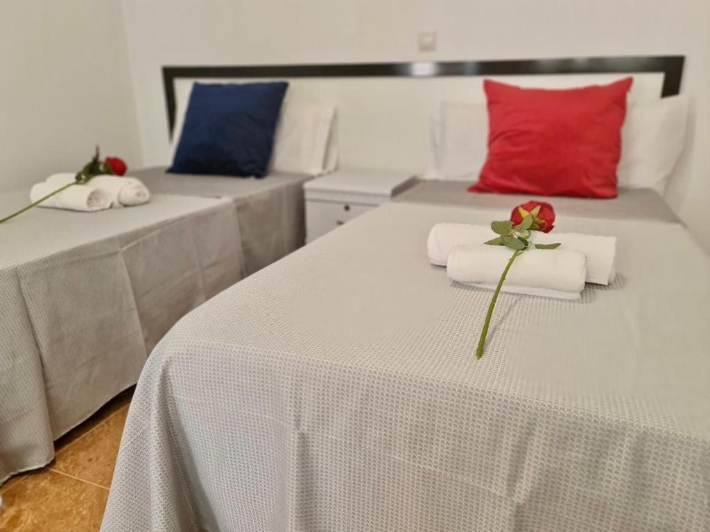 Franmay Apartments - 7 Modern Apartments Near The Beach & City, Perfect For Nomads, Travellers, Families, Watersports! 圣玛丽亚 外观 照片